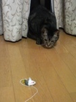 080126_1.jpg