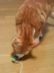 080126_4.jpg